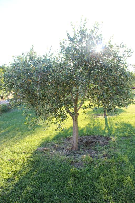 Holiday Home Valmoneda Ровінь Номер фото